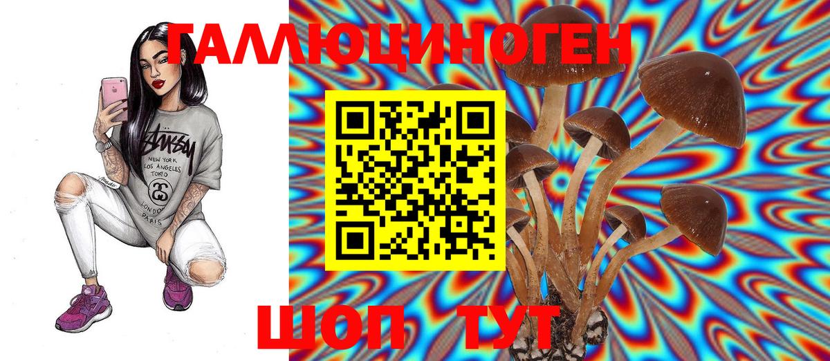 закладки  Вход с VPN  Псилоцибиновые грибы MAGIC MUSHROOMS  Озёры  Псилоцибиновые грибы ЛСД 